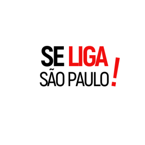 (c) Seligasaopaulo.com.br